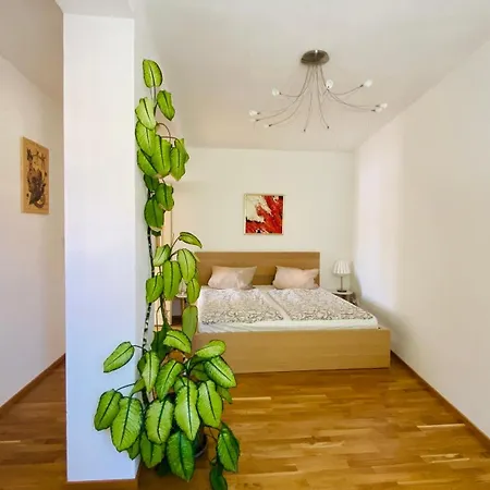 Dum U Tri Bratru Apartment *